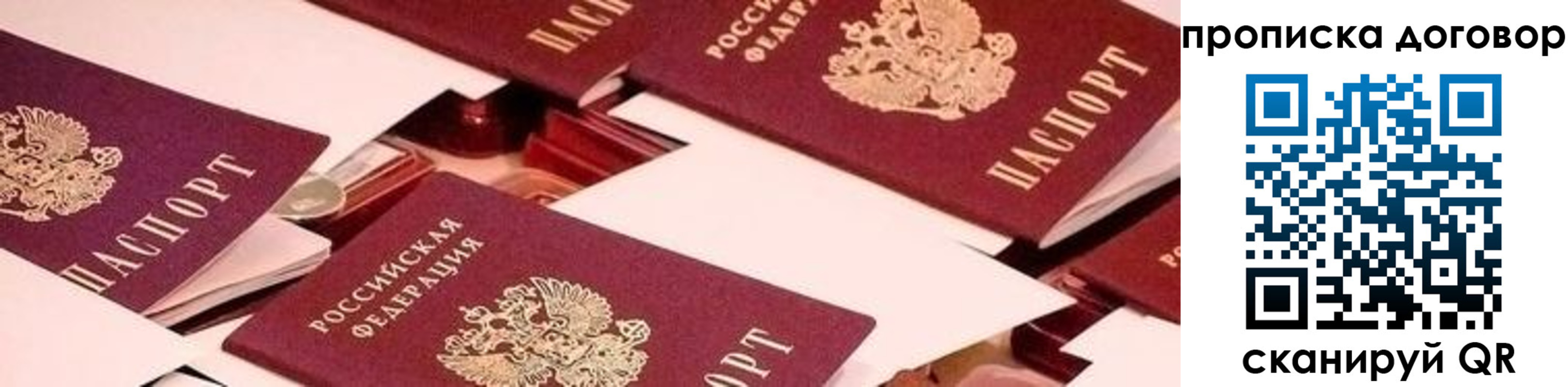 прописка 2025 в Светлогорске